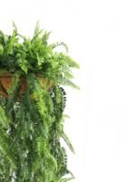 Artificial Hanging Fern Basket UV Resistant 45cm x 125cm - Image 2
