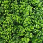 Premium Artificial 120cm Bright Buxus Tree UV Resistant - Image 2