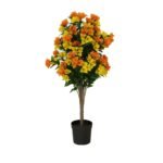 Flowering Yellow and Orange Bougainvillea Tree 90cm UV Resistant - Image 3