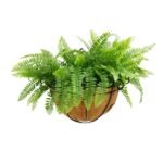 Artificial Hanging Fern Basket 30cm x 40cm Long UV Resistant - Image 2