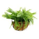 Artificial Hanging Fern Basket 30cm x 40cm Long UV Resistant - Image 3