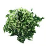 Artificial Spring Evergreen Hanging Basket UV Resistant 43cm - Image 3