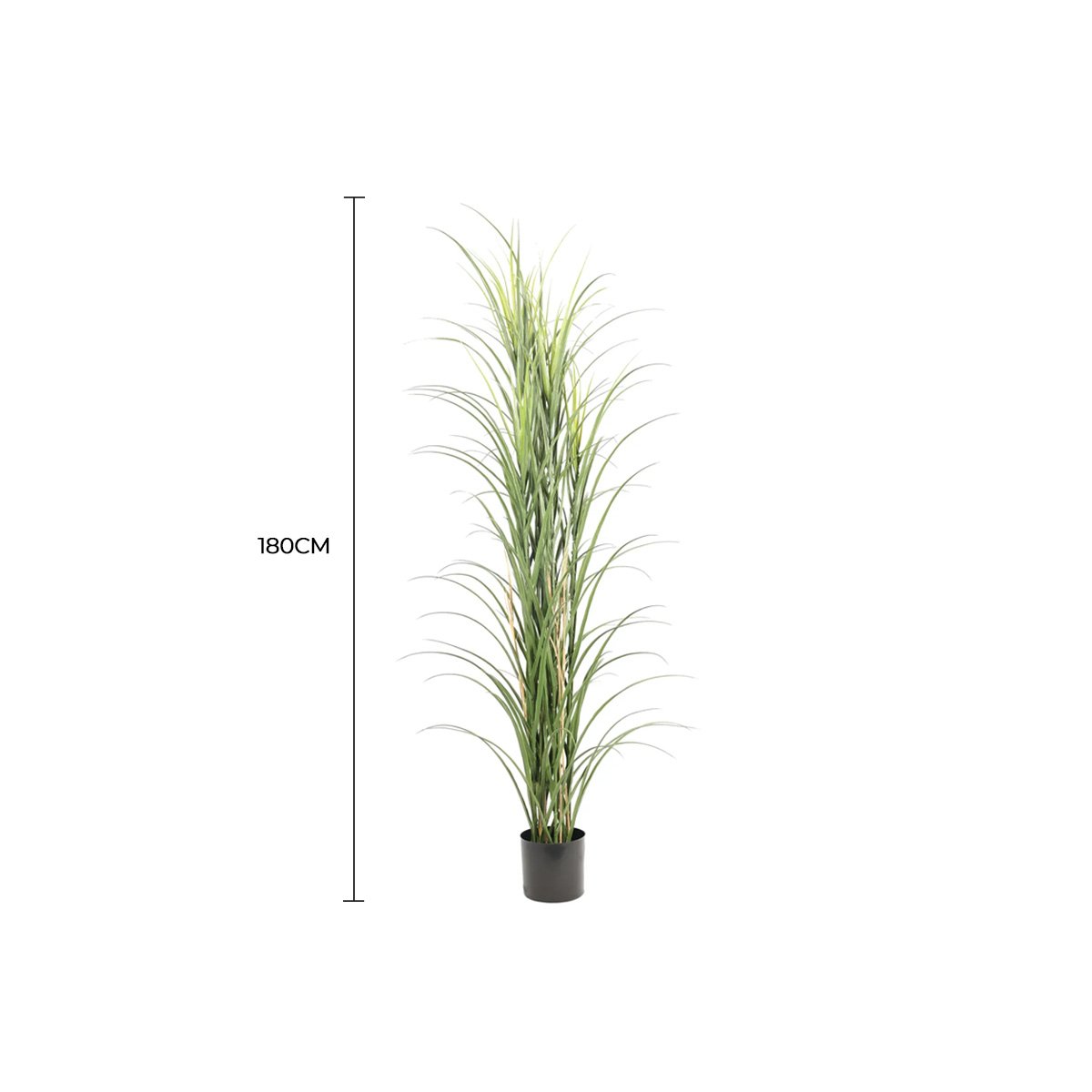 V637-DP389521-202511131015-00.jpg Premium Potted Artificial Long Grass (Yucca Grass / Reed Grass) 180cm UV Resistant - Image 1