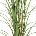 Premium Potted Artificial Long Grass (Yucca Grass / Reed Grass) 180cm UV Resistant - Image 4