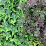 Lush Botanical Mosaic Artificial Vertical Garden / Green Wall Panel 1m x 1m UV Resistant - Image 2