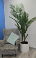 Premium Artificial Areca Palm Tree 210cm UV Resistant (New Arrival) - Image 5