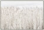 Pampas Grass Framed Canvas Wall Art 120cm