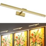 Wireless Picture Lights for Wall, Battery Operated Wall Light for Painting Rechargeable CCT Rotatable Art Gallery Light with Remote Dimmable Timer for Artwork Frame Display Dartboard (Gold, 24inch)