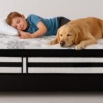 KINGSTON SLUMBER Luxury 34cm King Single Mattress, Medium Firm, Euro Top, 5-Zone Pocket Spring Foam - Image 12