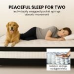 KINGSTON SLUMBER RelaxMax 31cm Single Mattress, Medium, Euro Top, 5-Zone, Pocket Spring, Knitted Fabric - Image 8