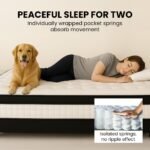 KINGSTON SLUMBER RelaxMax 31cm King Single Mattress, Medium, Euro Top, 5-Zone, Pocket Spring, Knitted Fabric - Image 8