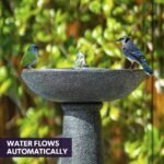 Protege Bird Bath Solar Water Feature Fountain, Contemporary Birdbath Design, with Panel Kit, LED Lights, Dark Grey - Image 3