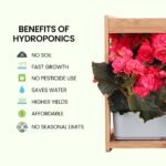 PLANTCRAFT 12 Pod Indoor Hydroponic Growing System with Bamboo Frame & LED Lights - Image 2