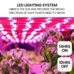 PLANTCRAFT 12 Pod Indoor Hydroponic Growing System with Bamboo Frame & LED Lights - Image 5