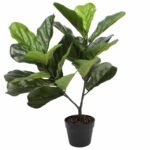 Artificial Fiddle Fig Tree 70cm - Image 3
