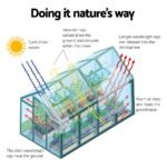 Green Fingers Greenhouse 6.3x2.44x2.1M Aluminium Polycarbonate Green House Garden Shed - Image 7
