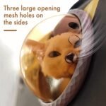 pet products Printed Space Capsule Cat Bag, Large Capacity Crossbody Dog Bag, Universal Pet Bag for All Seasons - Image 4