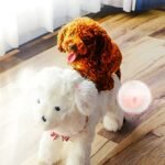 Pet Behavioral Support Doll - Realistic Canine Companion Toy for Stress Relief, Made of TPE Silicone & Soft Fur, Stable Suction Base, 1:1 Anatomical Design, for Small to Medium Dogs (White, Channel Height 28cm)