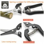 Heavy-Duty 5-Piece Gardening Tool Set - 3 Pruning Shears & 2 Folding Saws, Stainless Steel Blades, Ergonomic Handles, Compact Storage - Ideal for Trees, Shrubs, Camping, and Gift-Giving - Image 5