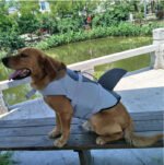 Pet products Dog Life Jacket, Cute Shark Dog Life Vest for Swimming Boating with Superior Buoyancy and Rescue Handle, Adjustable Puppy Floating Swim Vest for Small Medium Large Dogs(L) - Image 2