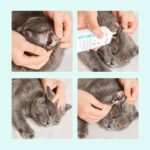 pet products Pet products Ear Cleanser for Dogs and Cats - Gentle Daily Ear Wash - Long Nozzle for Deep Ear Cleaning - Removes Wax, Odor & Moisture - Image 3