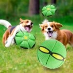 Frisbee Deformation Ball - green + No Light VersionÃ—5 - Image 8