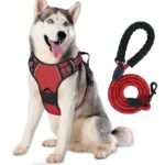 Reflective Dog Harness Leash Set Anti Pull Vest for Pets