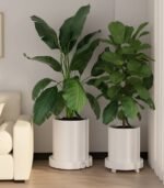 CARLA HOME 2-Pack Rolling Plant Stand with 360° Wheels for Indoor Pots (26 cm) - Image 2