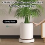 CARLA HOME 2-Pack Rolling Plant Stand with 360° Wheels for Indoor Pots (26 cm) - Image 4