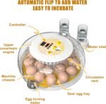 CARLA HOME 18 Egg Incubator with Automatic Turning, LED Display, Humidity & Temperature Control, Auto Water System & Built-in Egg Candler for Chicken, Duck, Quail, Goose - Image 2