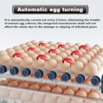 CARLA HOME 128 Egg Incubator with Automatic Turning, LED Display, Humidity & Temperature Control, Auto Water System & Built-in Egg Candler for Chicken, Duck, Quail, Goose - Image 2