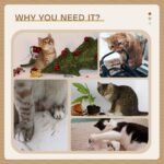 CARLA HOME 141cm Cat Tree Tower for Indoor Cats with Plush Perch, Ladder, Sisal Scratching Posts, Hammock & Condo for Kittens & Adult Cats (Beige) - Image 5