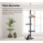 CARLA HOME Floor to Ceiling Cat Tree Tower  with Adjustable Height 230-286cm for Indoor Cats (Grey) - Image 6