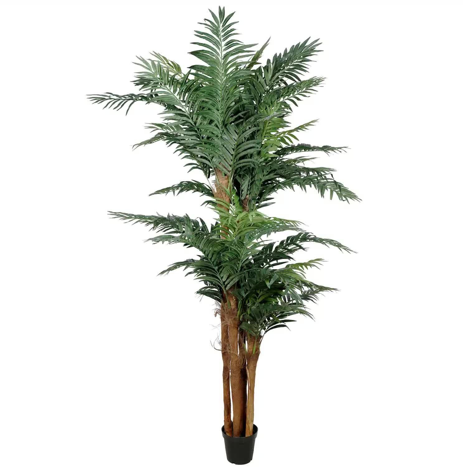 V637-1009700-202511131425-00 Large Tropical Palm Tree (Amazingly Real) 300cm - Image 1