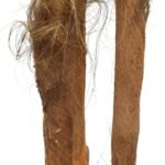 Large Tropical Palm Tree (Amazingly Real) 300cm - Image 4