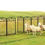 Fin Heavy Duty Dog Play Pen Enclosure Whelping Cage With Fertility Mat Puppy Playpen 60x110cm - Image 4
