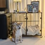 Anti-Bite Glass Indoor Dog Cage - Modern Furniture Style Dog Kennel End Table with Lockable Wheels and Double Doors - Image 8