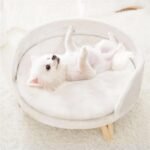 Pet Sofa Bed with Plush Cushion & Wooden Legs - Image 4