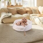 Pet Sofa Bed with Plush Cushion & Wooden Legs - Image 6
