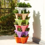 Green 3-Tier Stackable Strawberry & Vegetable Planter with Mobile Wheel Tray - Space-Saving Vertical Gardening System - Image 11