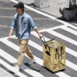 Sliver Portable Folding Shopping Trolley Bag(50x40x30CM) - Durable Woven Fabric, Reusable Grocery Bag with Wheels for Effortless Travel - Image 5