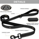 Rose Red 2.5 Meter Heavy Duty Reflective Dog Leash | Double Padded Traffic Handle | Anti-Chafe Tightly Woven Nylon for Large Dogs - Image 2