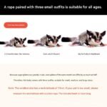 2-Pack dark brown Small Mammal Harness Set â€“ 6 Pcs (S/M/L Ã—2) + 2Ã—1.5m Leashes for Secure Outdoor Handling - Image 3