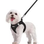 Black Breathable Dog Harness and Leash Set - Adjustable Reflective Pet Vest with Swivel Clip(Size: XL)