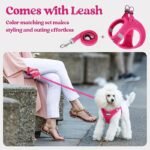 Black Breathable Dog Harness and Leash Set - Adjustable Reflective Pet Vest with Swivel Clip(Size: XL) - Image 6