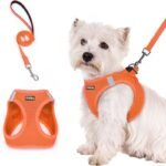 Orange Breathable Dog Harness and Leash Set - Adjustable Reflective Pet Vest with Swivel Clip(Size: XL)