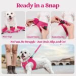 Orange Breathable Dog Harness and Leash Set - Adjustable Reflective Pet Vest with Swivel Clip(Size: XL) - Image 3